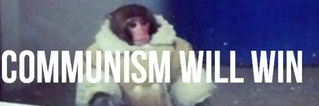 dnvss_'s profile banner image
