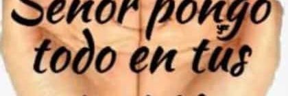 daniel david umbria banner