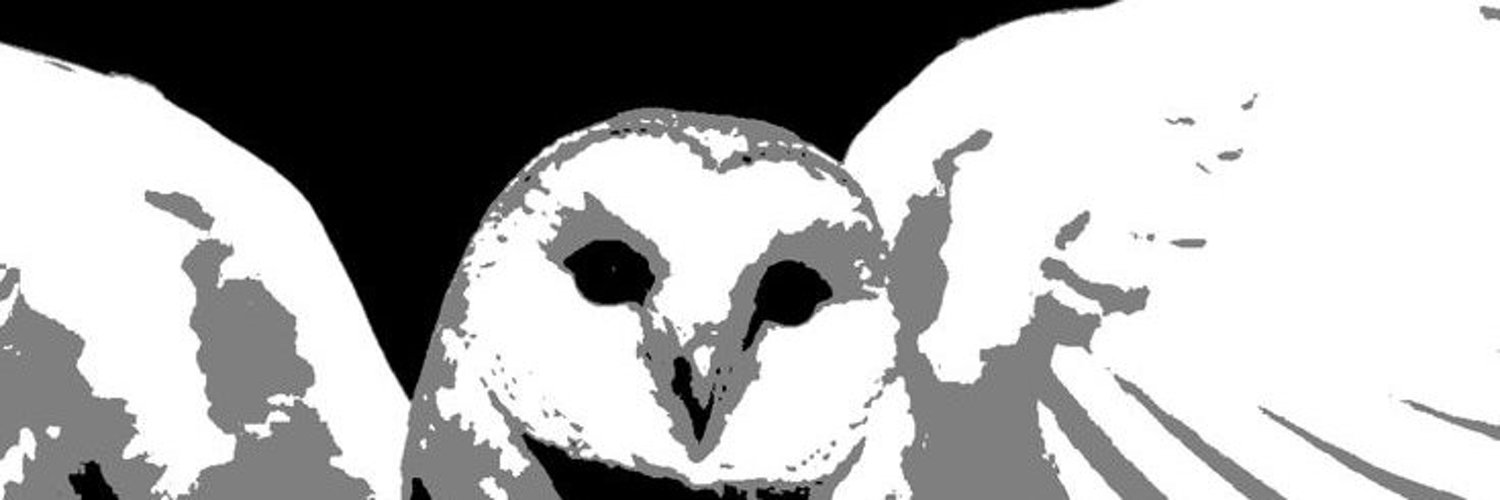 te.mpe.st banner