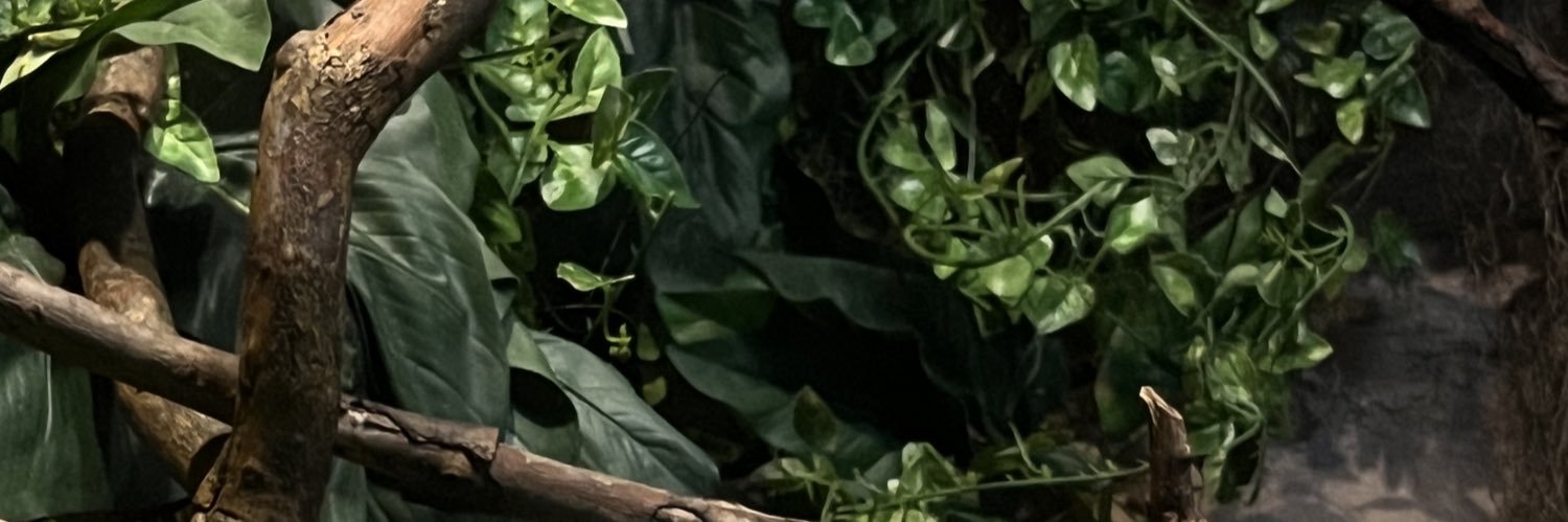 Memz 🔞 banner
