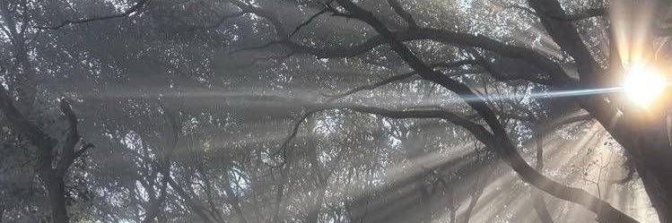 todo lo q ella diga ya lo vi en un sueño banner