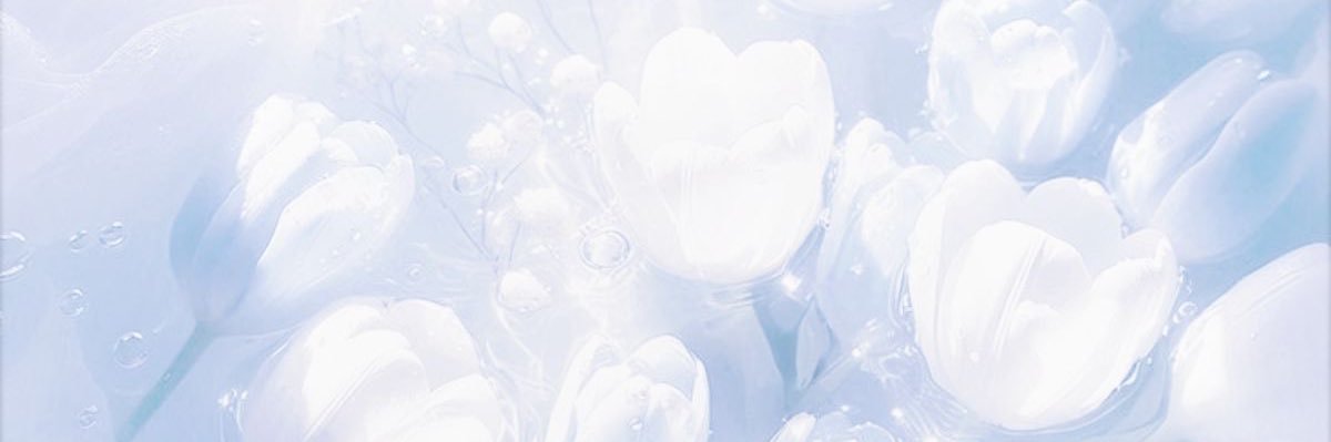  ︎︎𝟛𝟠 banner