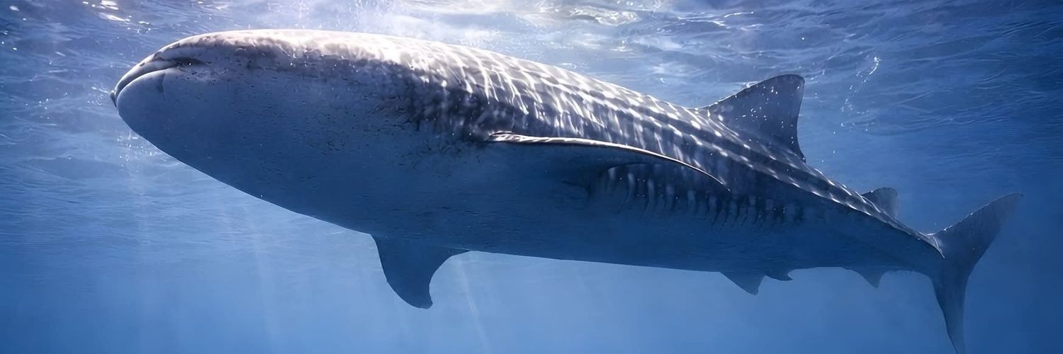 Raven_comic_art_Shark_02 banner
