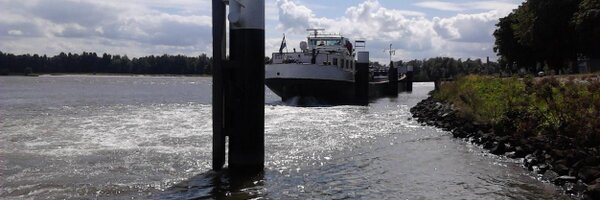 artofresearch Profile Banner