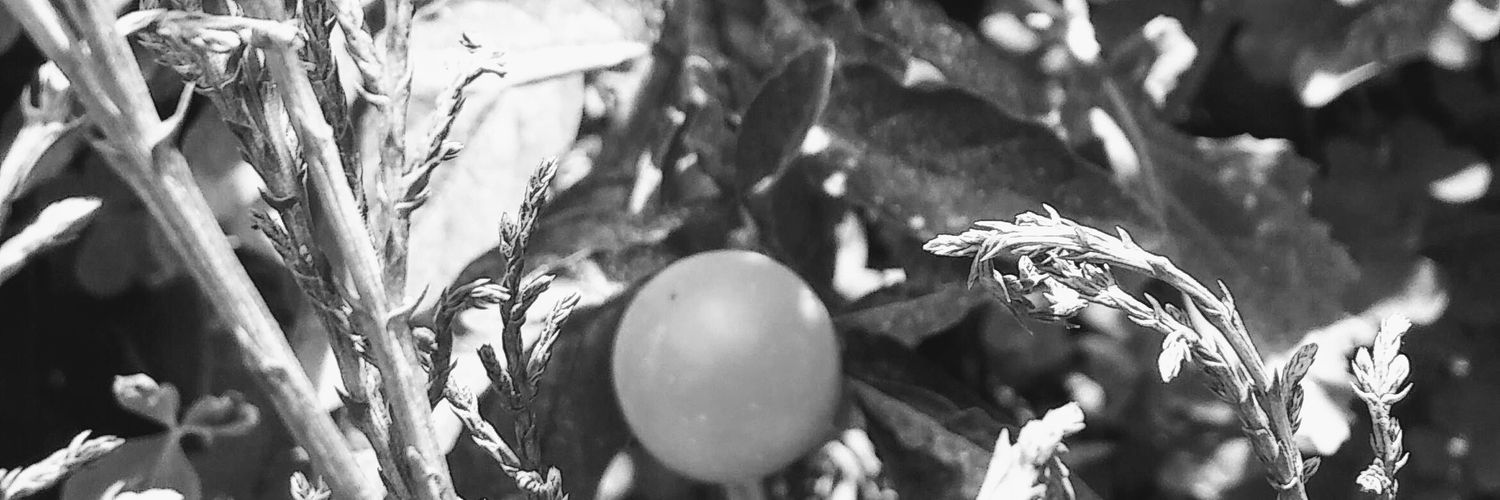 AuraMariaC's profile banner image