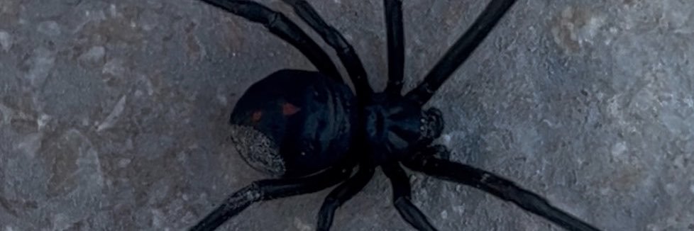 Rustyspinalcord's profile banner image