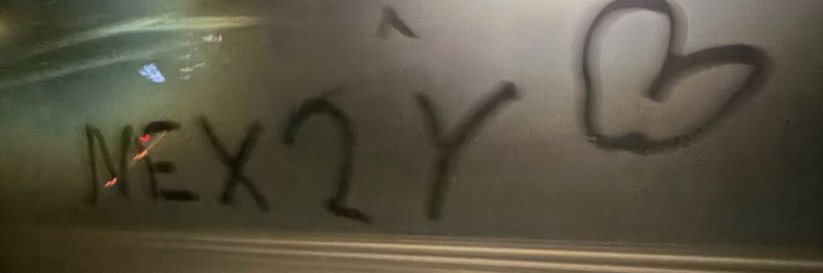 kinga ⋆˚𝜗𝜚˚⋆ banner