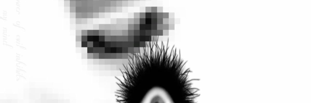 ceira banner