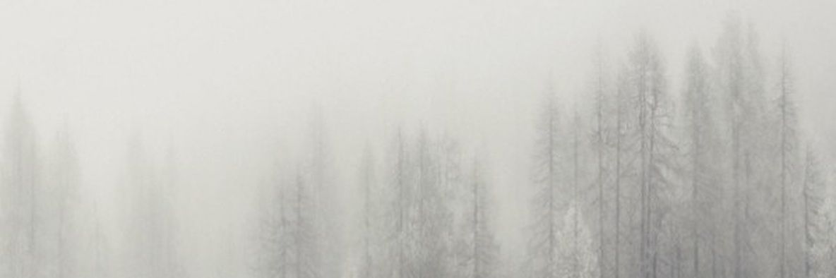 тустерка🏳️‍⚧️ banner
