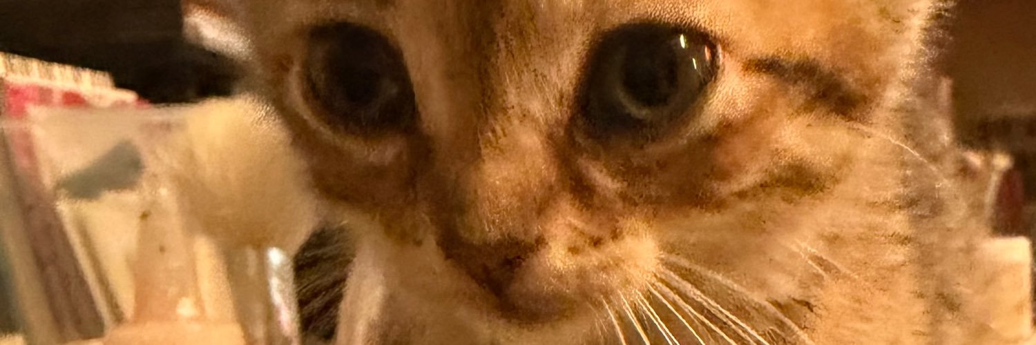 ShannonThereze's profile banner image