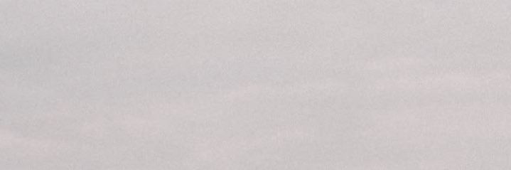 screwtheroom's profile banner image