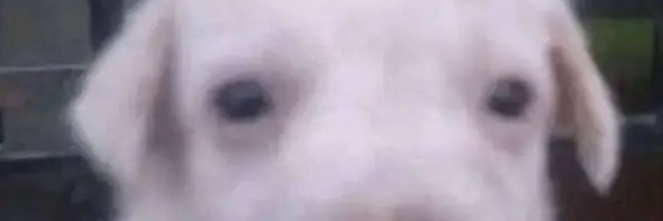 glowiedev banner