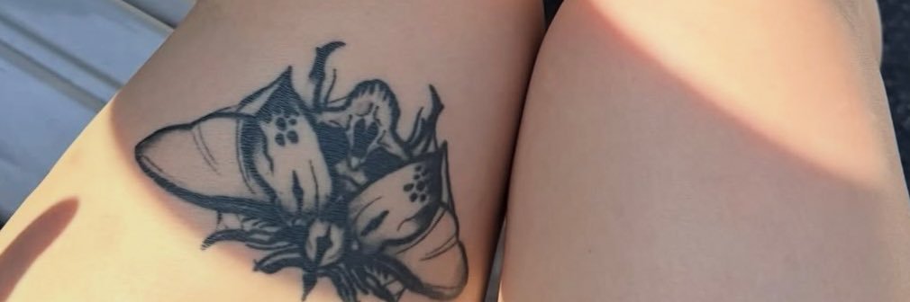 icetrayqueen's profile banner image
