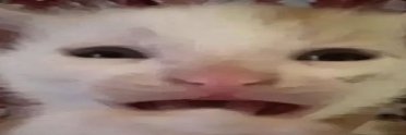 zuon banner