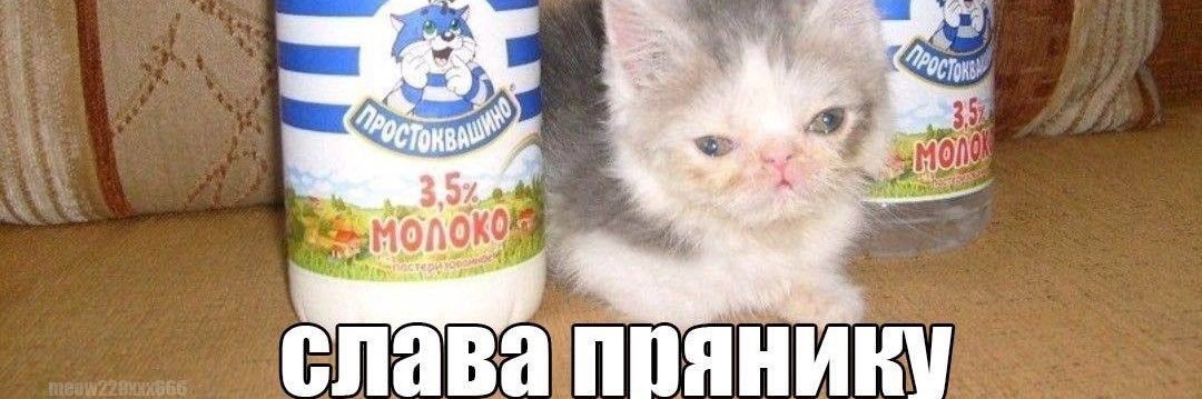 Dmitriy XMYPN banner