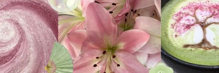 sawako ⋆˚✿˖° banner