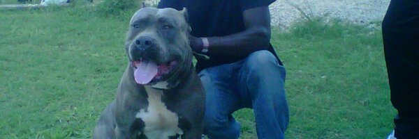 edinemi Profile Banner