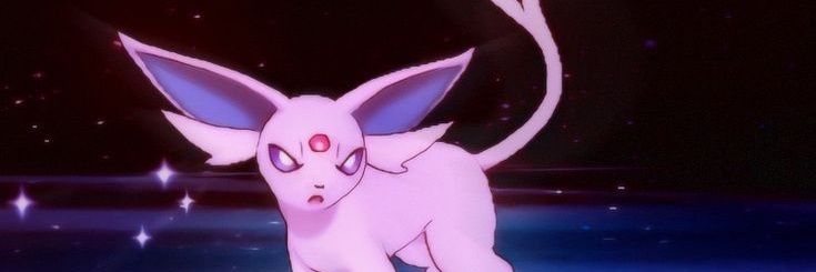 Pidgey banner
