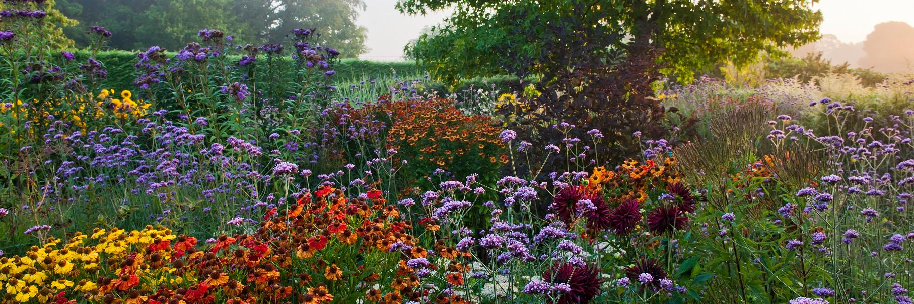 Merriments Gardens banner
