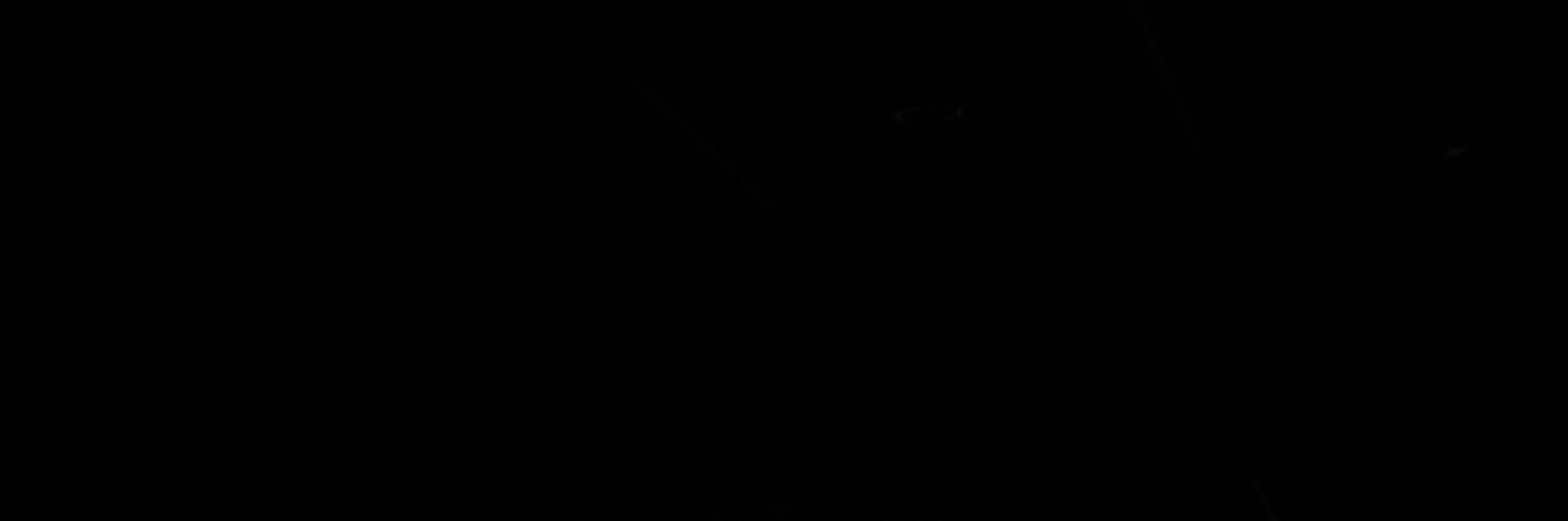 bodee banner
