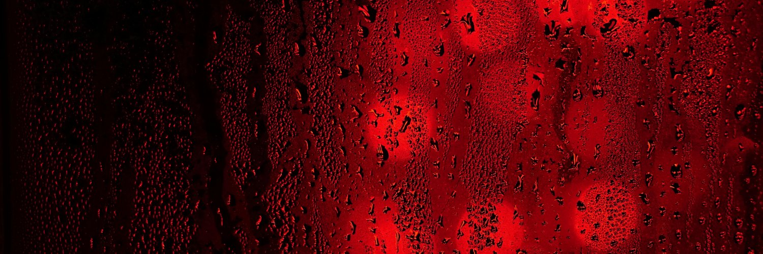 † Ɲιcк banner