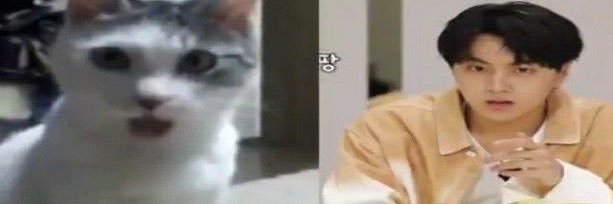 mi ❤︎⁠ banner