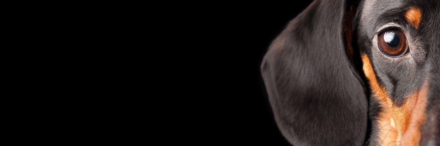 Alan_Bound's profile banner image
