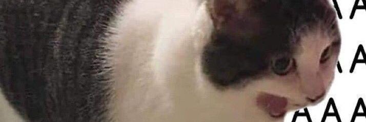 lsdmelo's profile banner image