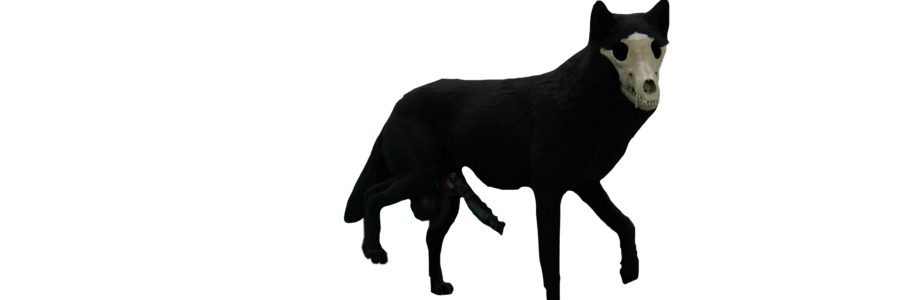 𝒀𝑶𝑼𝑵𝑮 𝑺𝑶𝑭𝑻𝑾𝑨𝑹𝑬 banner