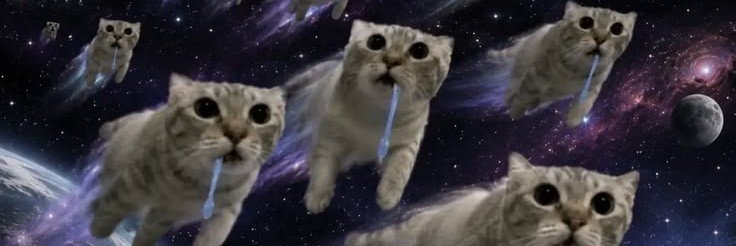 sailtoseass's profile banner image