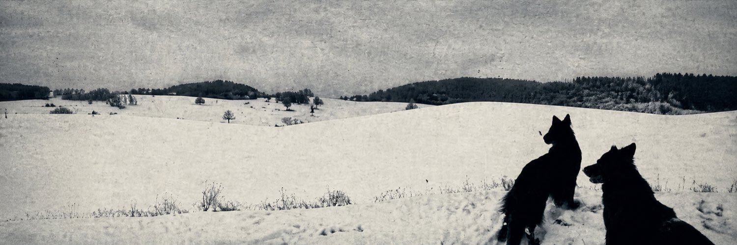канид banner