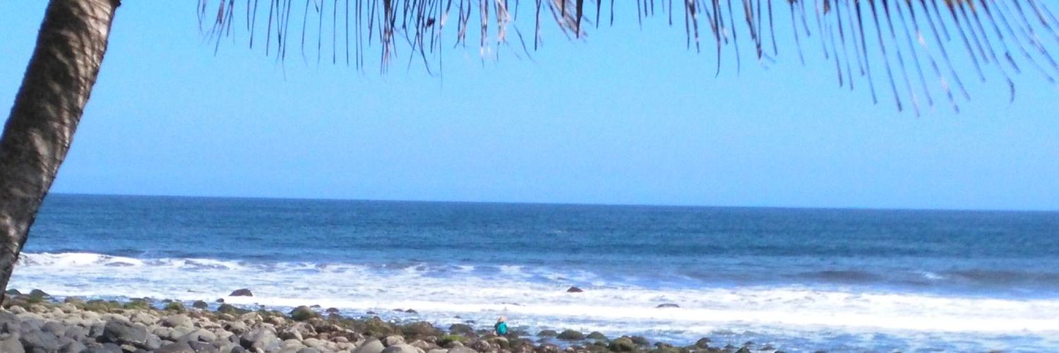 hildevoostende's profile banner image