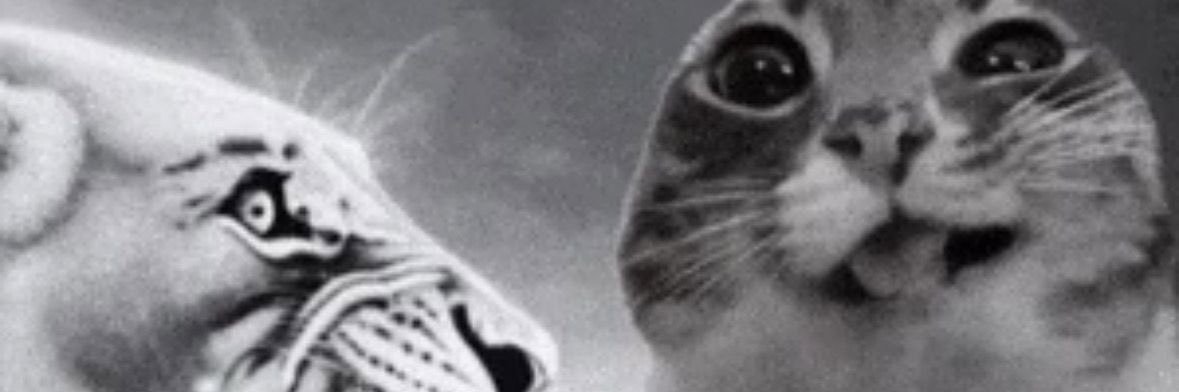 Joud banner