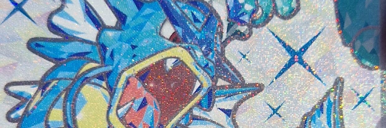 pokeFra banner
