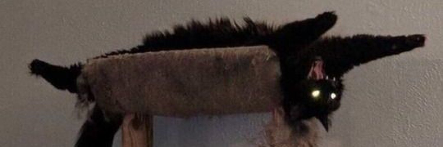 kaikaistarlight's profile banner image