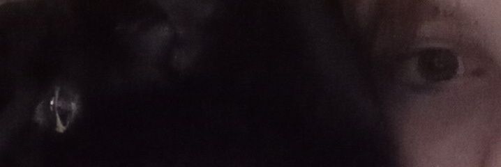 tweemodrone banner