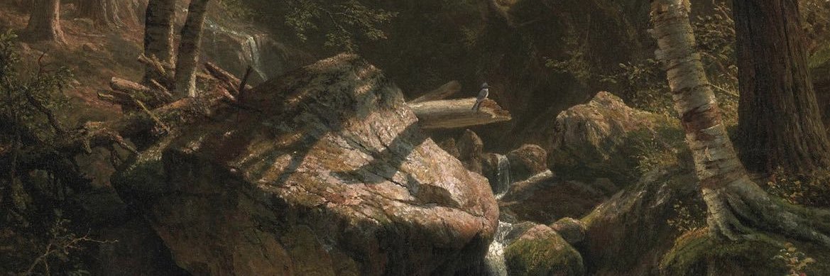 DallasJones's profile banner image