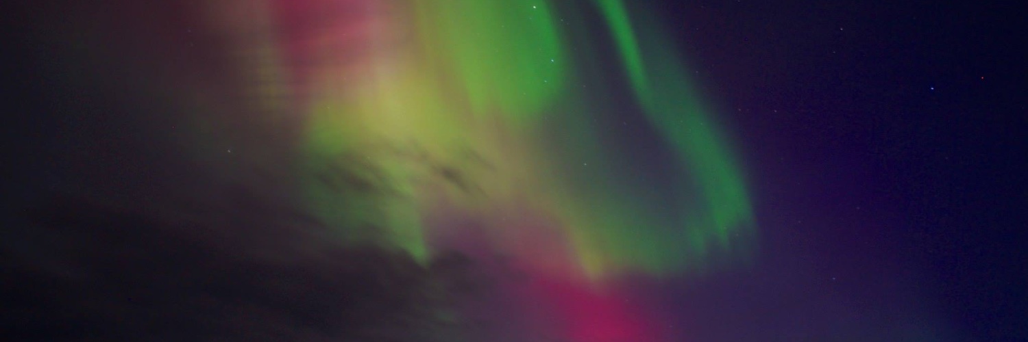 lalai persson banner