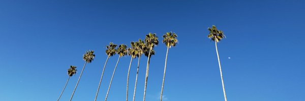 laloduartef Profile Banner