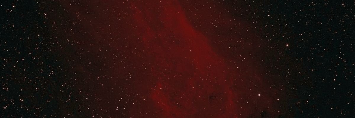 𝓶𝓸𝓷𝓲𝓴⋆˚🐾˖° banner