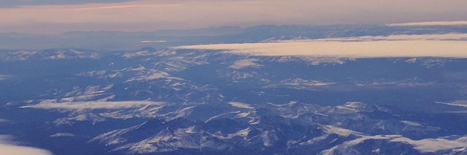 lauraferranti's profile banner image