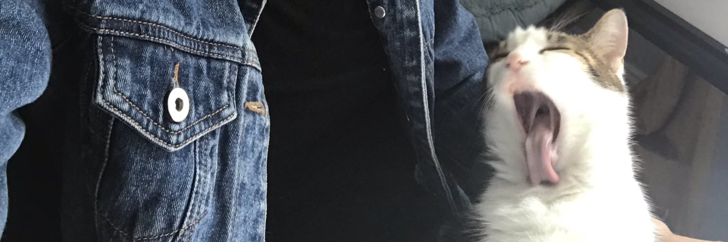 alidatko's profile banner image