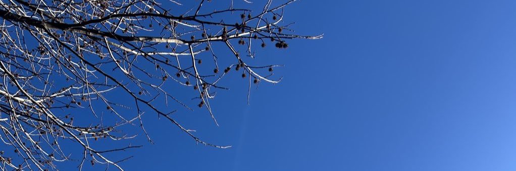 智史 banner