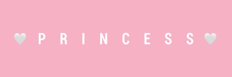 PRINCESS JAY banner