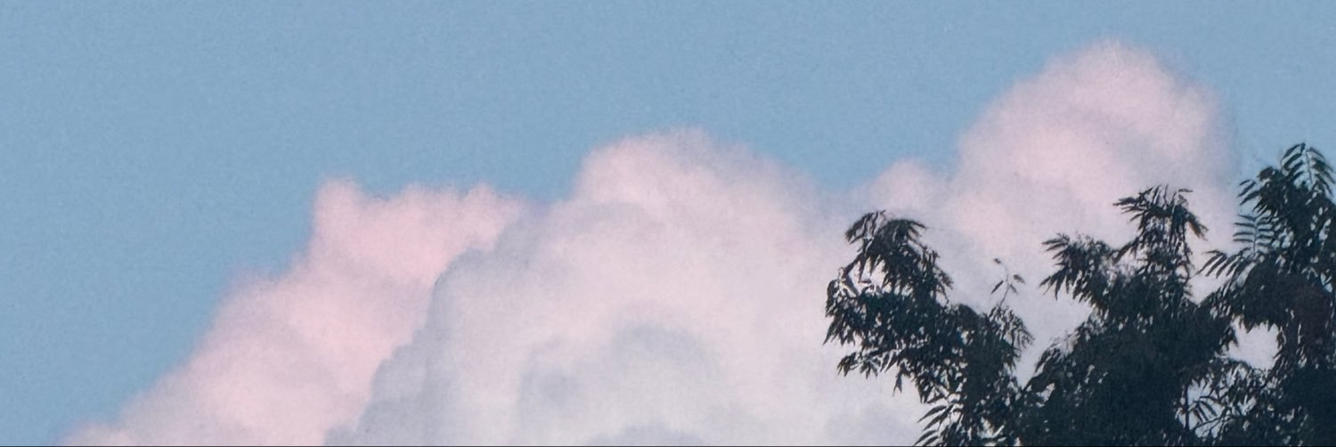 sngyoza's profile banner image