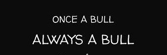 maxx banner