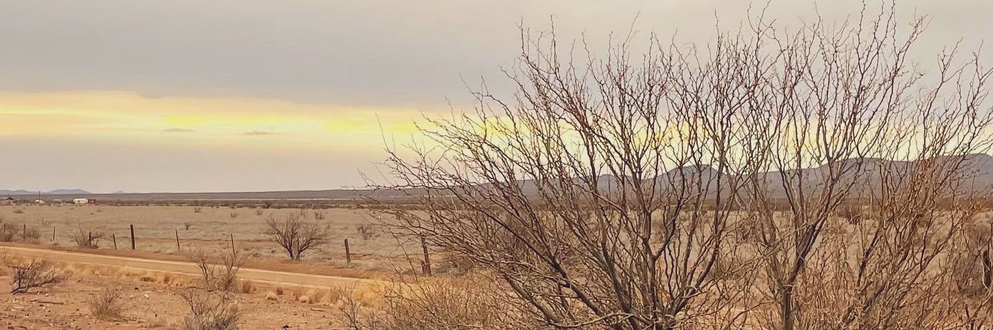 themrsnaylor's profile banner image