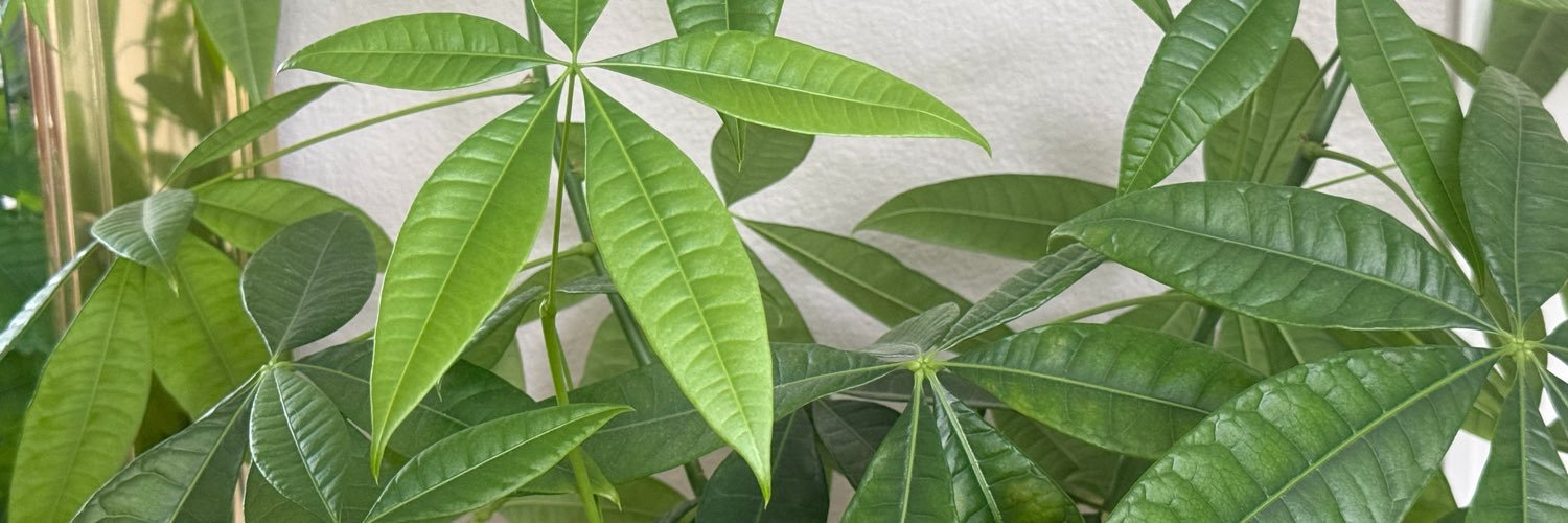 TheGoddessEco's profile banner image