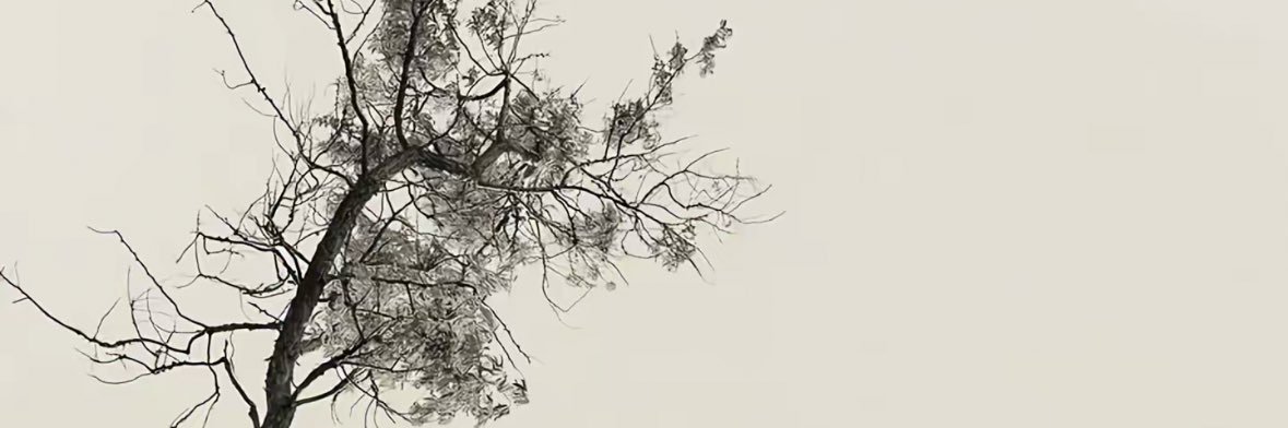 AlexzanderW7's profile banner image