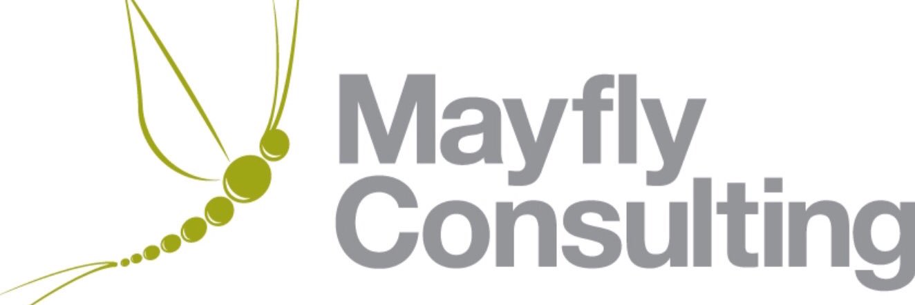 mayflyconsult's profile banner image